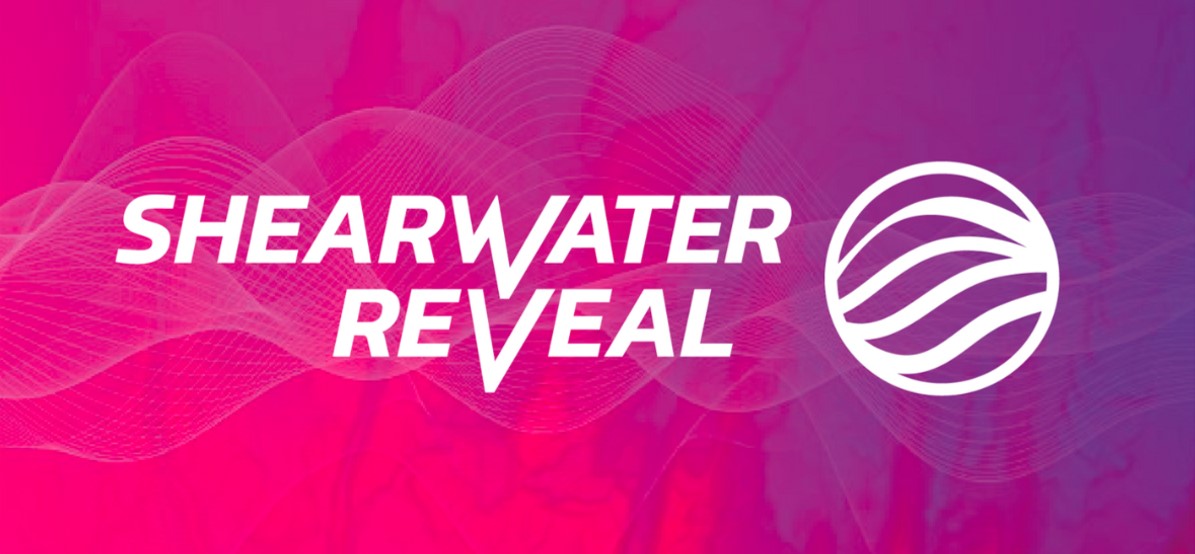 Shearwater GeoServices to Donate Reveal Seismic Software to Universiti